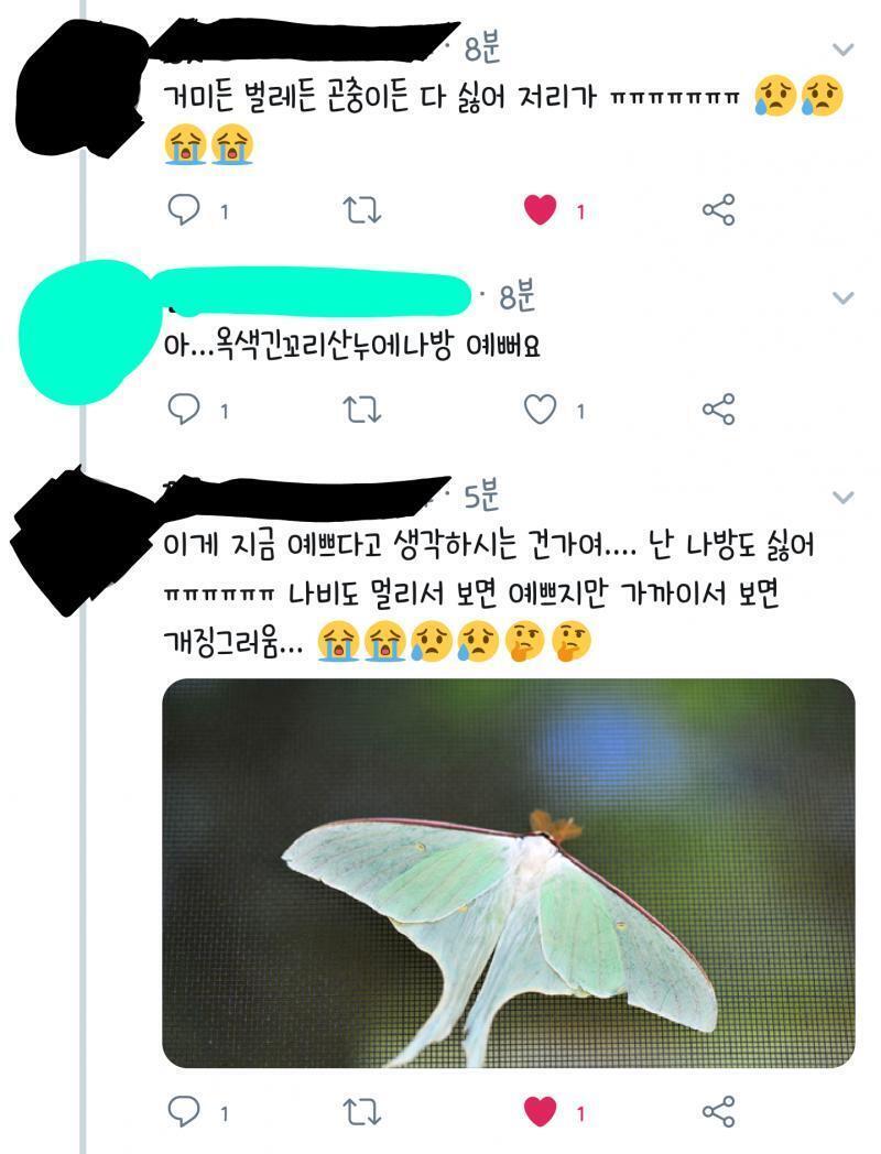 트친분한테 나방 영업하고옴