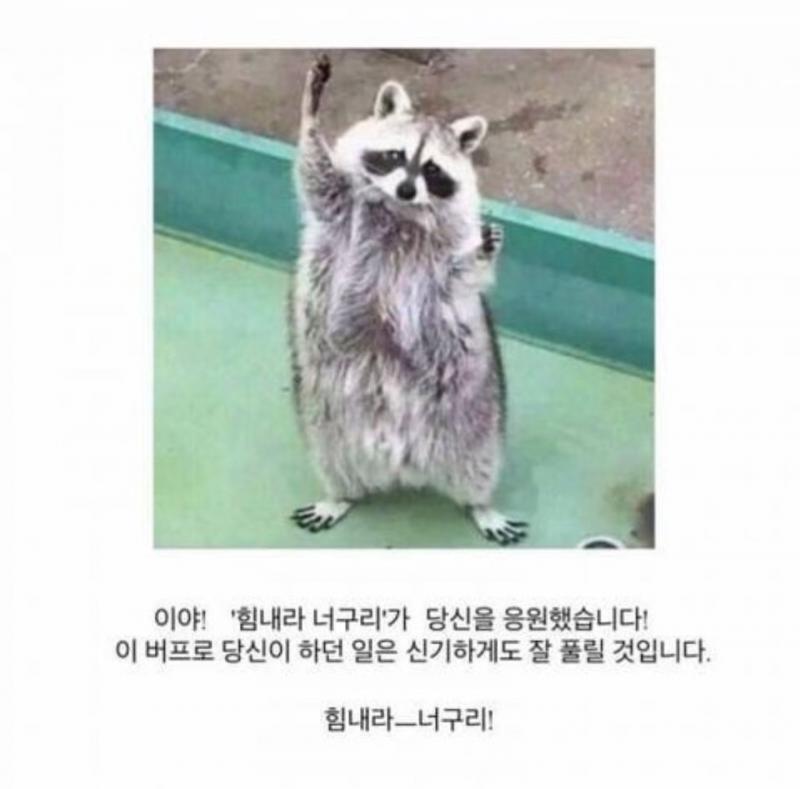 레스주들 힘내라