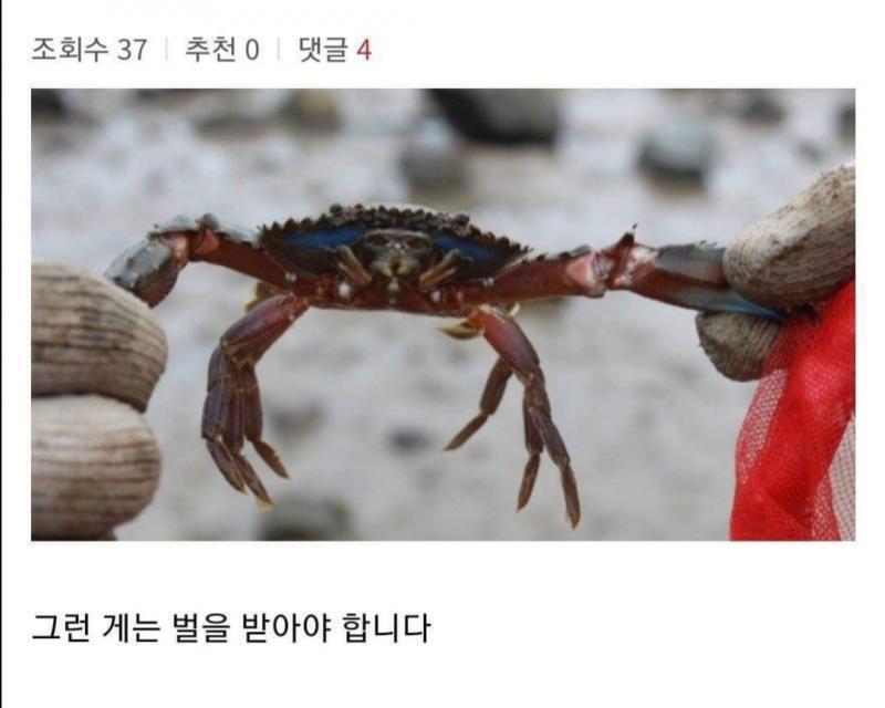 ㅎㅎ