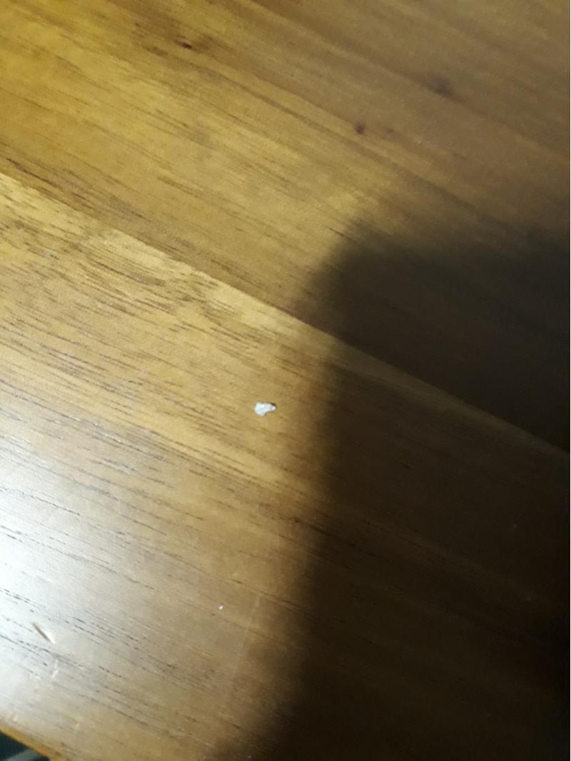 전리품 제목: 배고픈 야수의 발톱