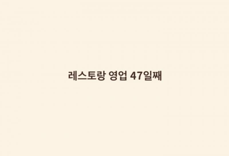 고양이식탁 47일째 플레이중