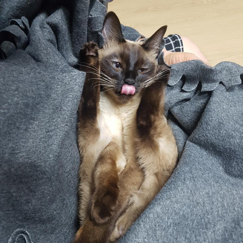이 사진은 어제 자다가 깼는데 이 자세로 있단거 ..........