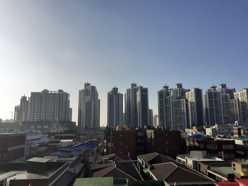 찍은 게 없다..