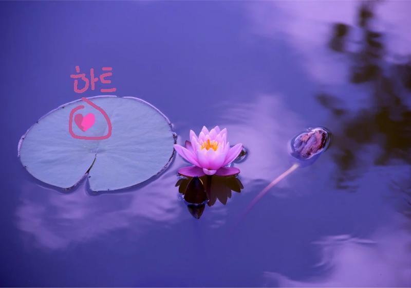 아무리 보정해봐도, 반으로 갈라진 하트밖에 보이지를 않아.
