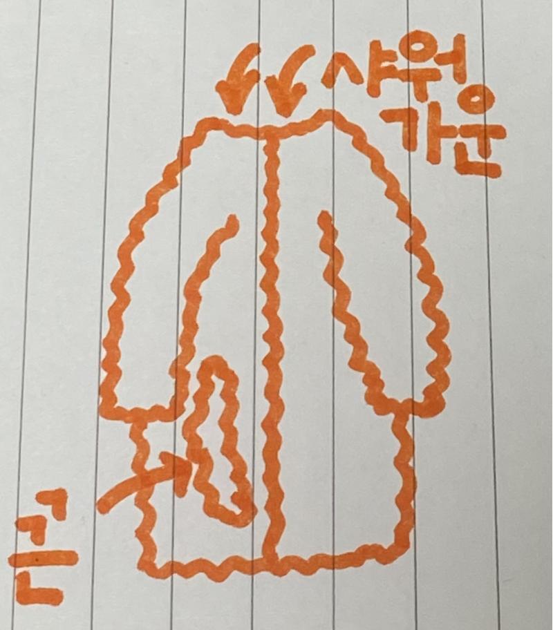 쥐띠 해니까 이렇게 하는게 어때? 합치면 쥐 얼굴!!! 부모님 도와드리려는 레주 마음 너무 예쁘다!!! 힘내!!!
