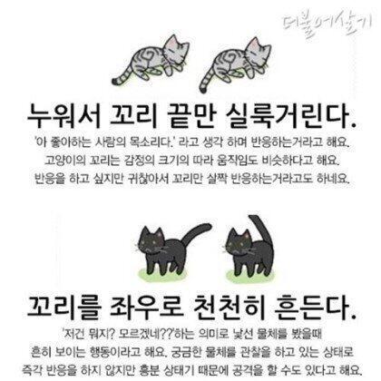 유후 큩히 먐미들