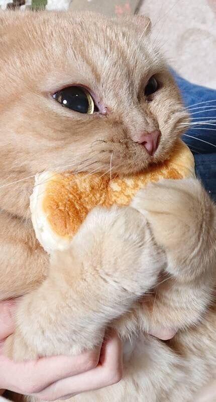 귀여운 거 보면 기분이 좋아지지..!