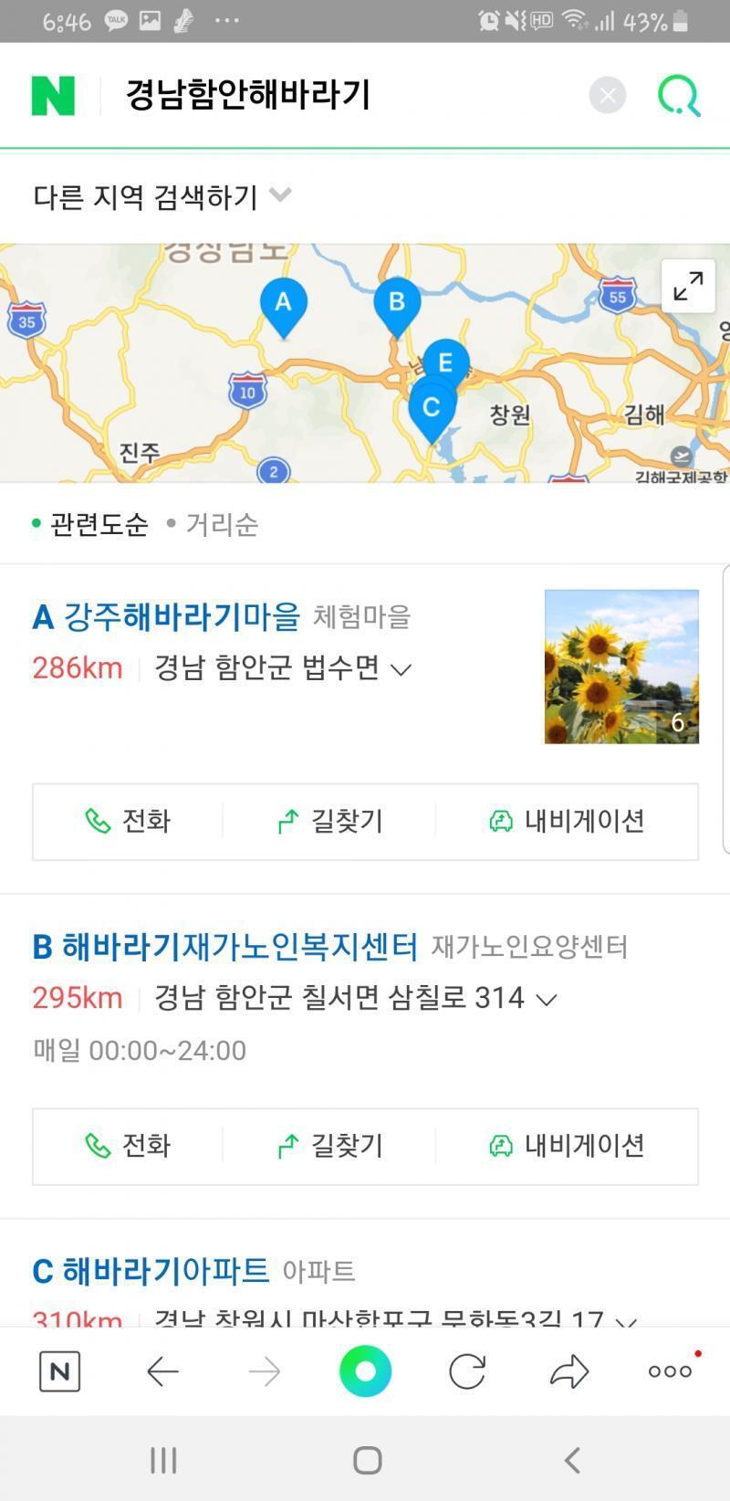 여기 해바라기 축제한데