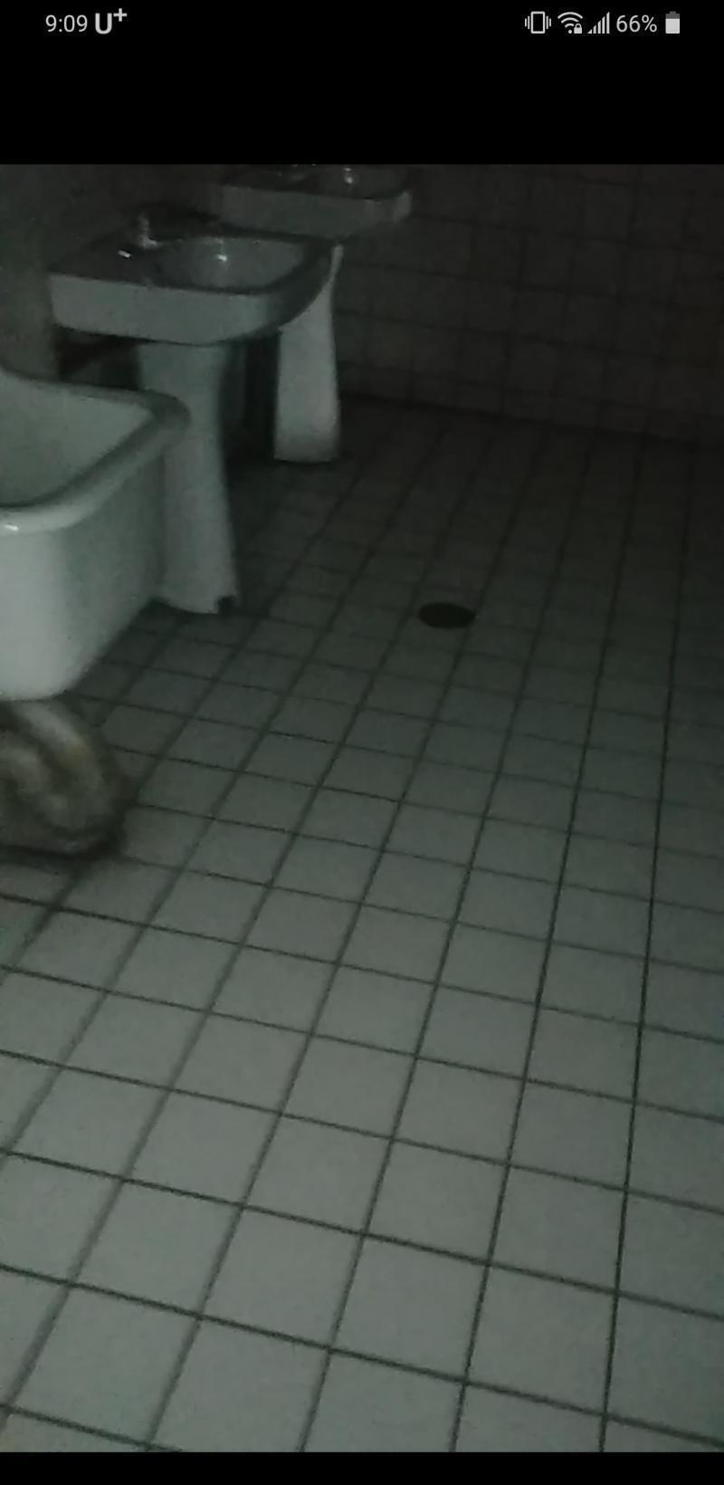 봐바
