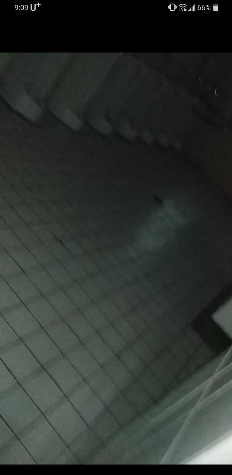 봐바
