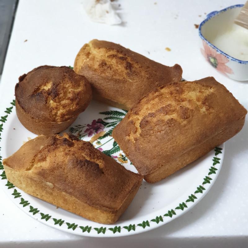 마이쪙😋