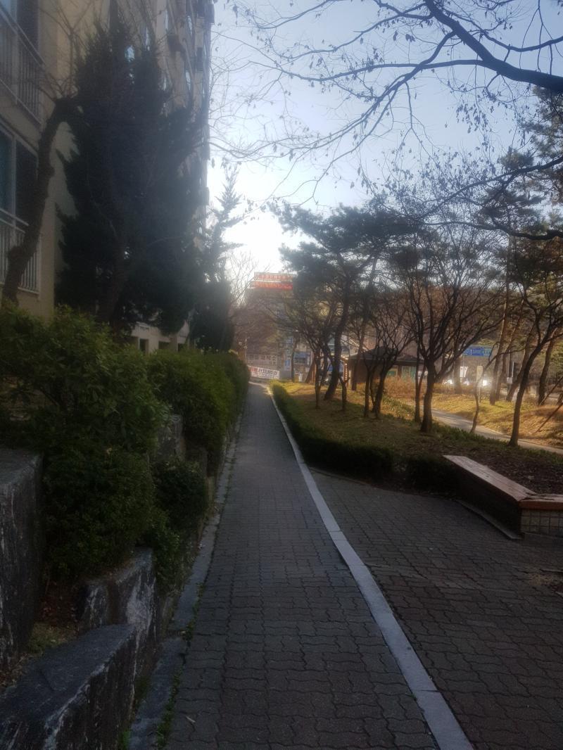 오랜만에 나오니 그래도 좋네
