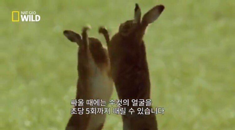 이거ㅓ?