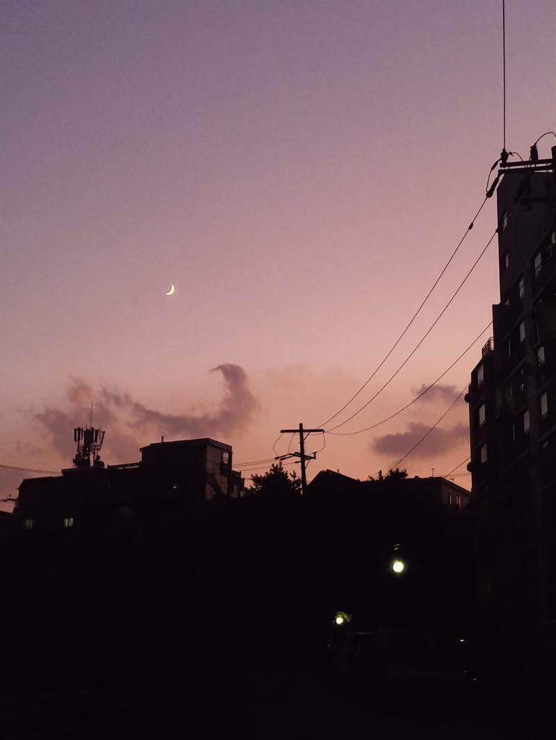 밤에 뜬 달은 아니지만 이런 달은 있어