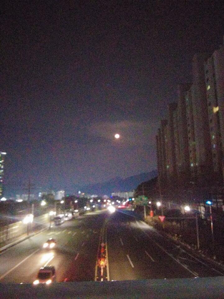 다들 어떻게 그렇게 이쁘게 찍는 거야????? 난 이렇게 나오는게 단데,,,, 나도 분위기 있게 찍어보고 싶다