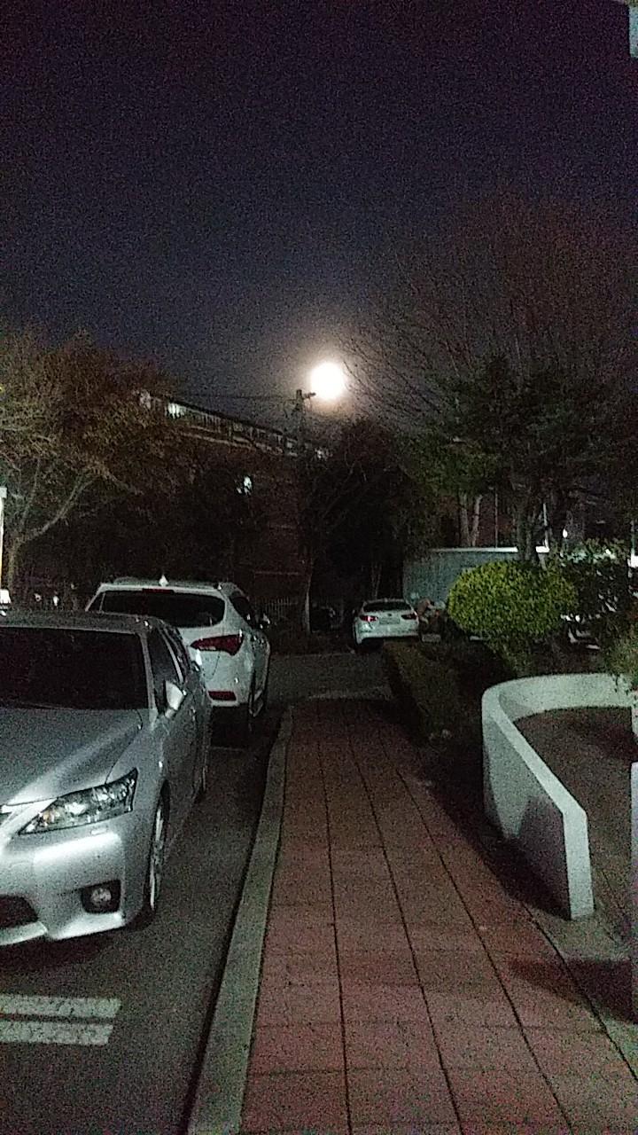 나도 못찍어.... 전등처럼 보이지만 사실저거 달임. ㅠㅠ