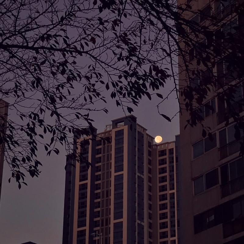 거의 밤 되기 직전에 찍구 보정 어뜨케 어뜨케 햇더니 이래나왓더