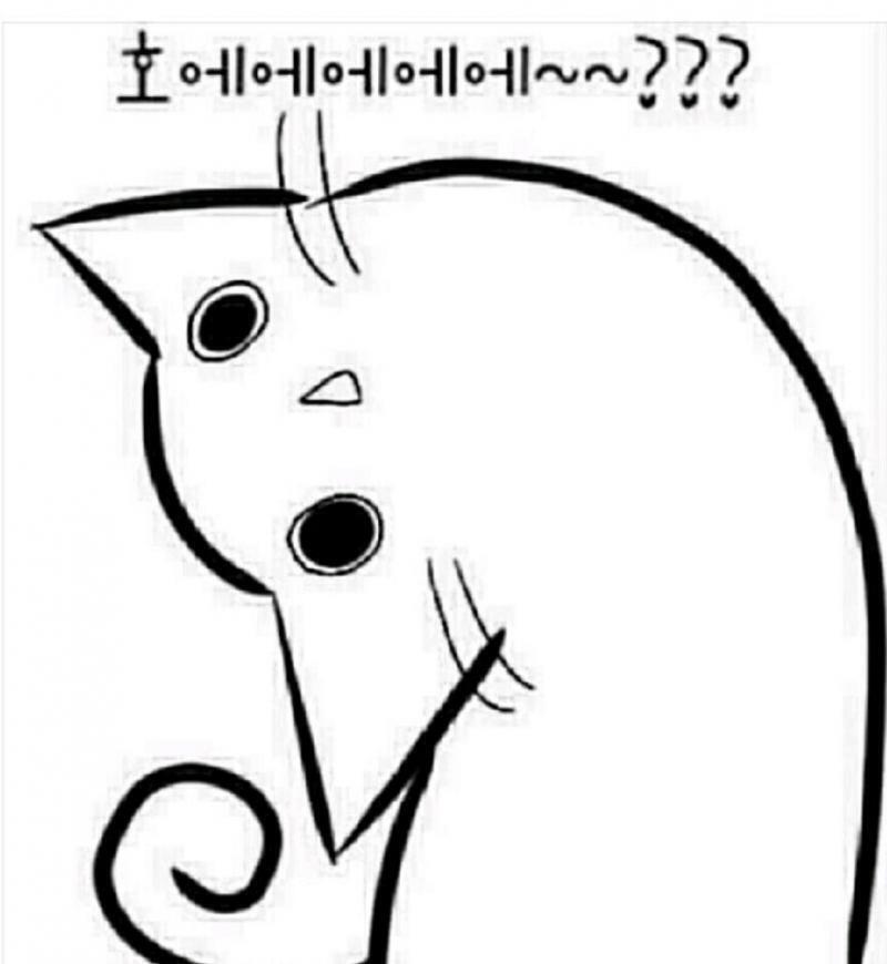 메로나와 그랜절과 어울리는 것은 뭘까? 고양이?