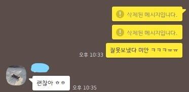 컴퓨터 캡쳐한 거라 화질이 좀 안 좋을 수 있는데 우선 얘 허락 받았다 위에 메세지 삭제한 건 오타가 나서; 난 오타 같은 거 나면 상대방 답장