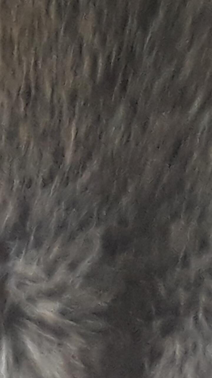 헤