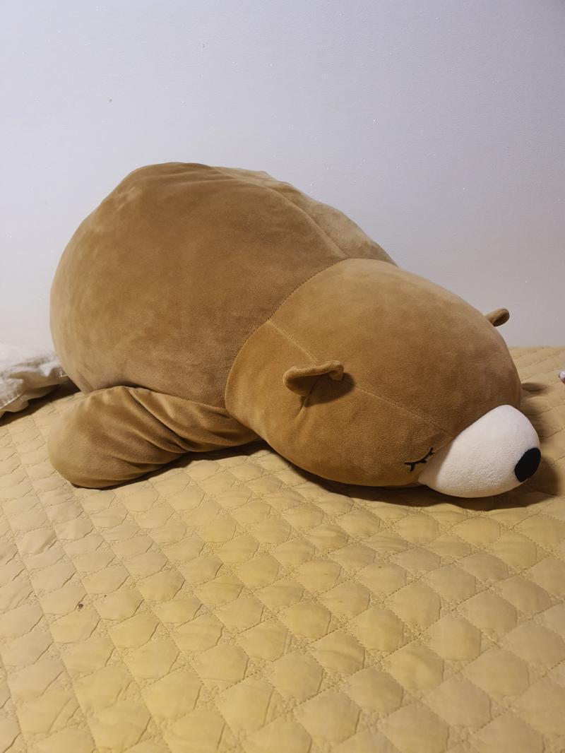 큰 곰은 미니소 ( 일본 불매시국 터지기 전에 산거임) 에서 데려왔고 벌써 3년째 내방에 있음ㅋㅋ 잘때 끌어안고자! 작고노란 아이는 제일 나이가