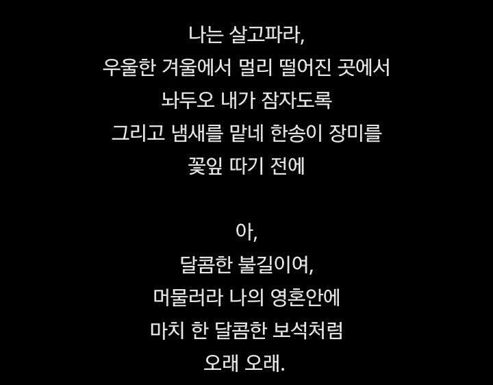 병정인형 안에 뭔가가 있는건가...?