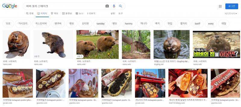 비버 꼬리 스테이크 없음