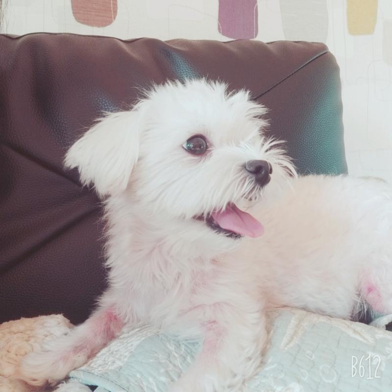 >>16 이런거면돼겟슴미까?