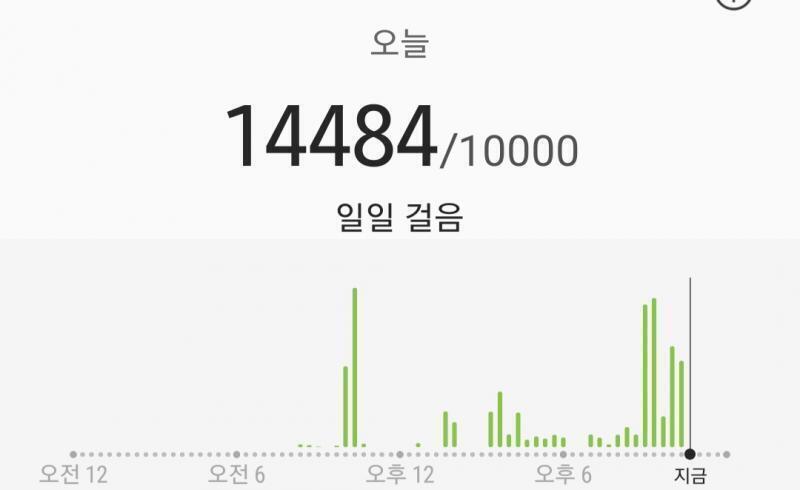 오늘의 걸음