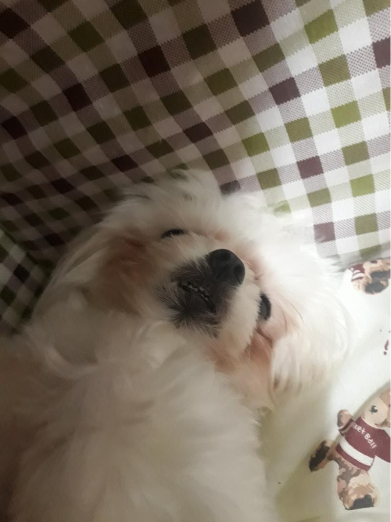 사진첨부해줄게