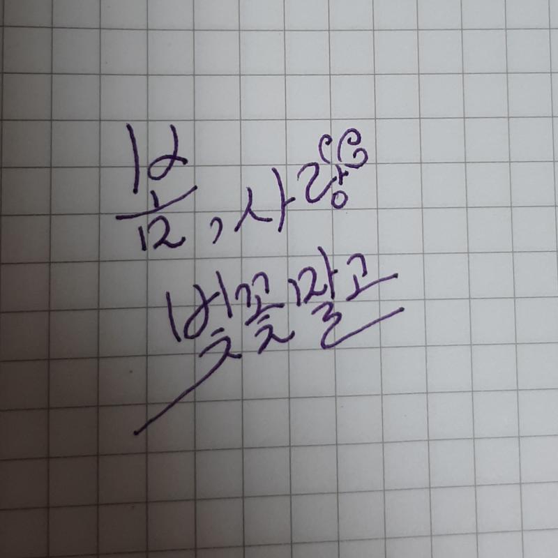 지금 이순간, 솔라감성 봄, 사랑, 벛꽃말고 다음생에는 너로 태어나 나를 사랑해야지