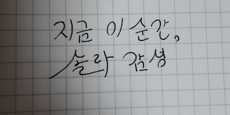 지금 이순간, 솔라감성 봄, 사랑, 벛꽃말고 다음생에는 너로 태어나 나를 사랑해야지