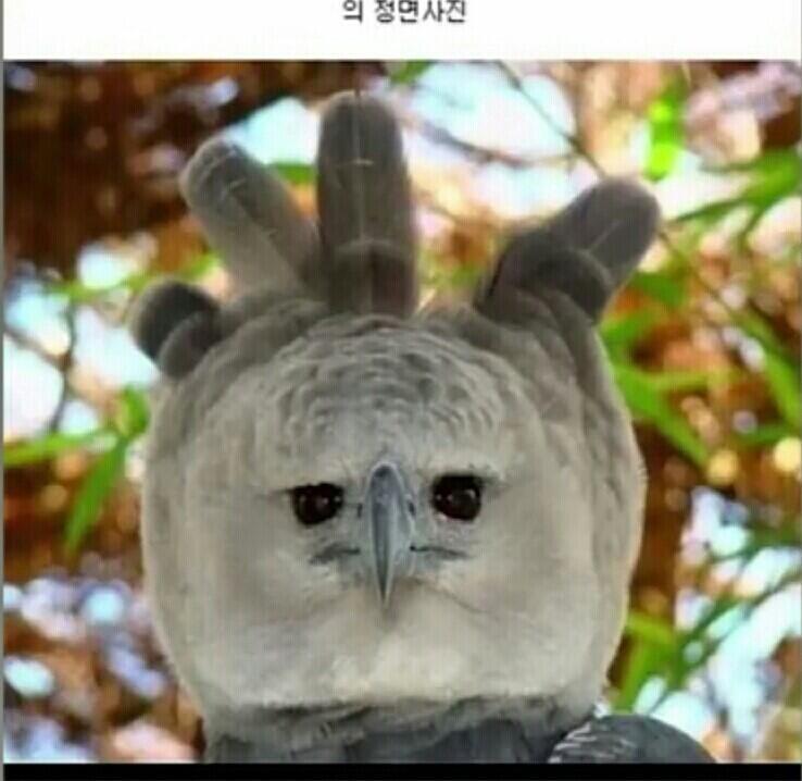 ㅋㅋ