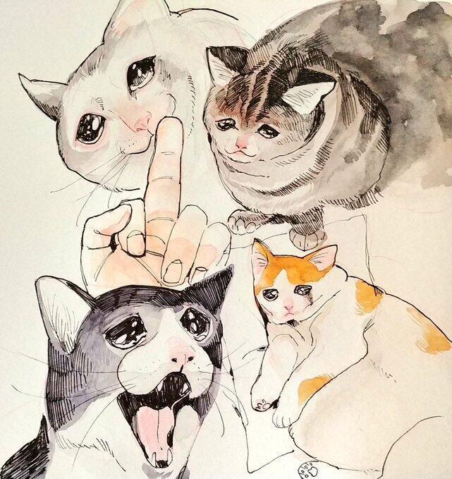 뽀뀨!!