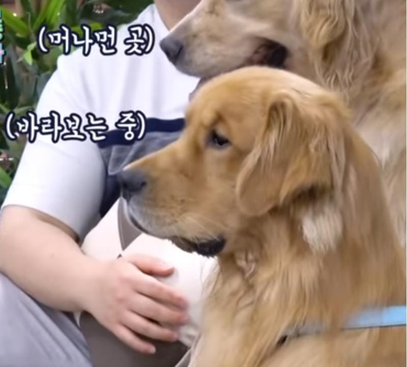 >>57 고생했다!! 리트리버 매우 기여어