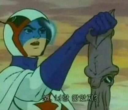닮았네