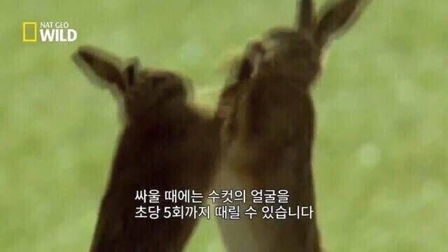 일일