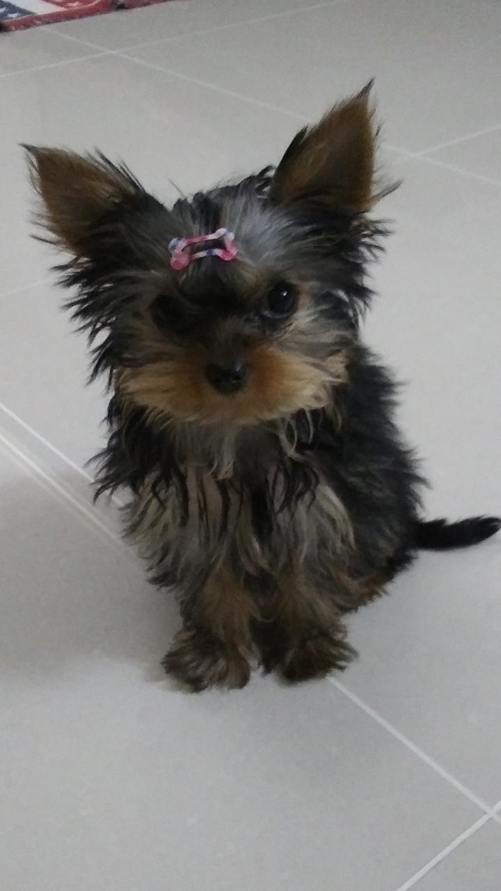 어릴 때 사진!