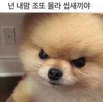 이이