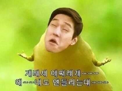 에에엥