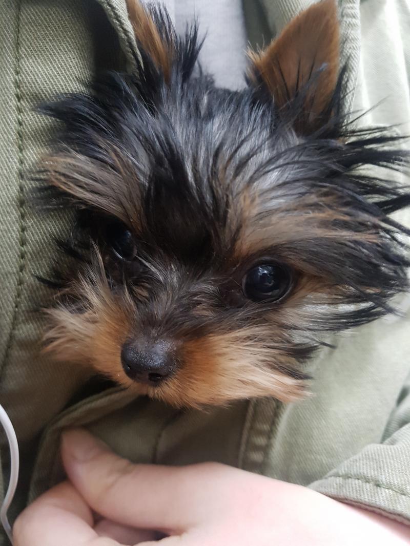 어릴 때 사진!