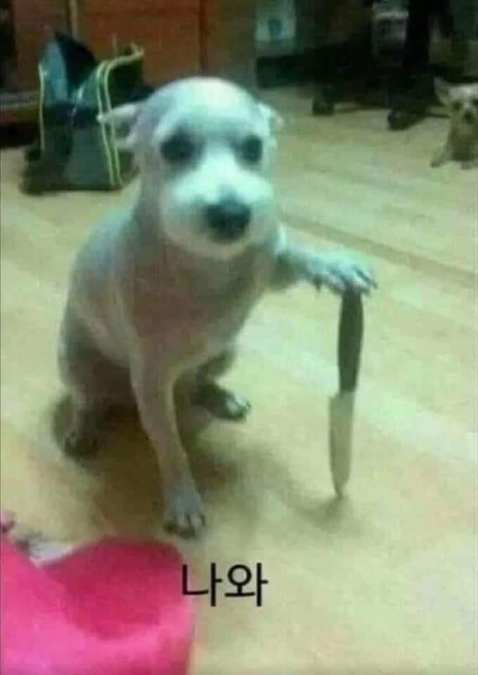 멈뭄