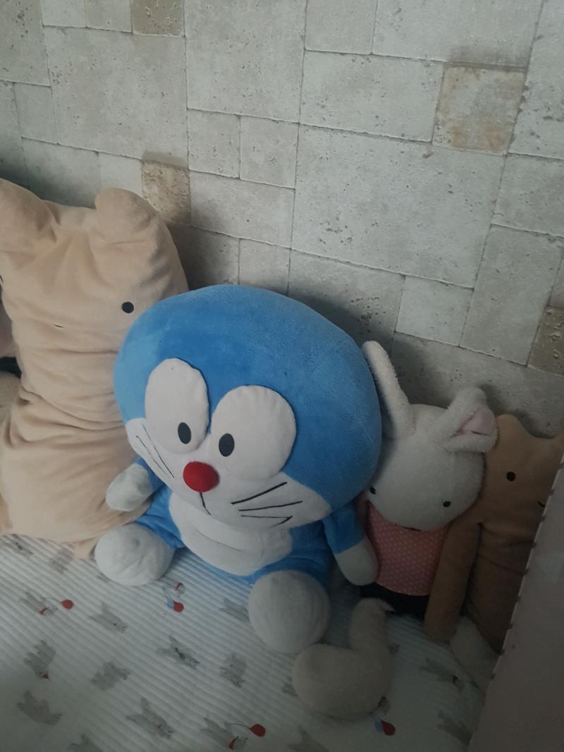 쿨쿨