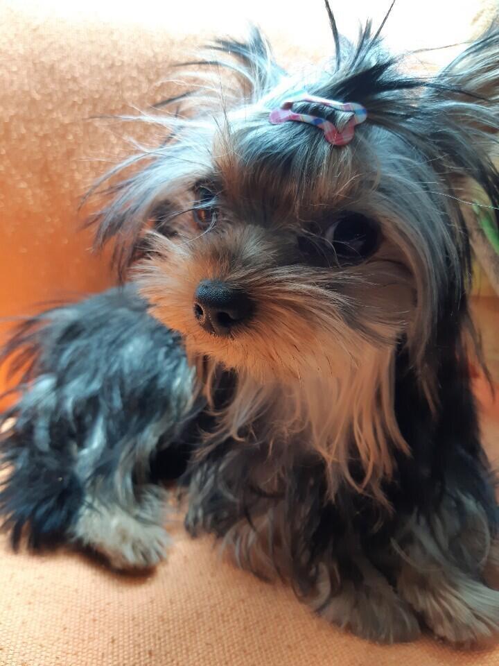 어릴 때 사진!