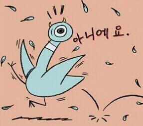 비둘기짤들