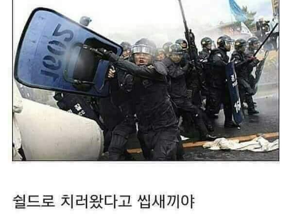 쉴드치러왔다