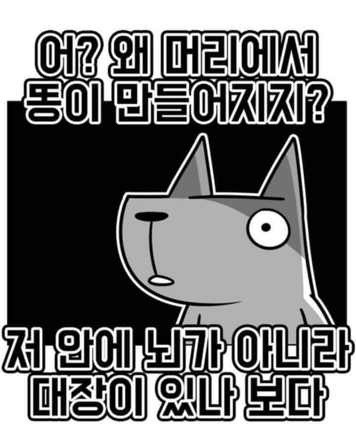 뇌내장설