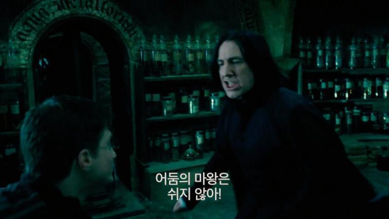 해리뽀터