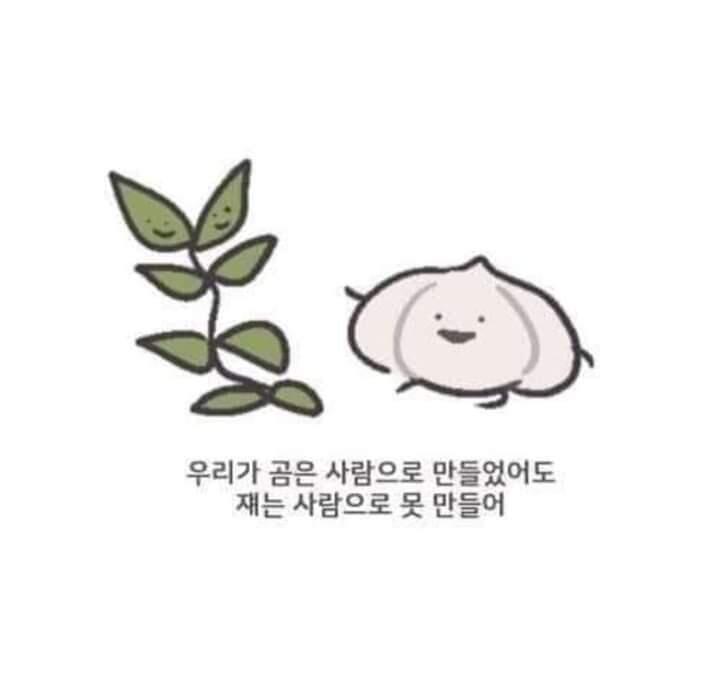 쑥과 마늘