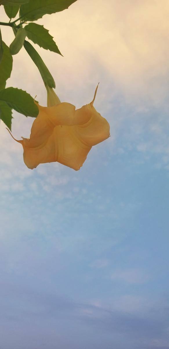 >>8 너무 쨍한 듯 해서 급히 2차수정!